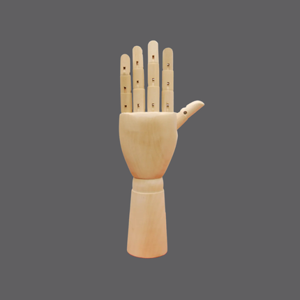 Collection image for: Hand Mannequins