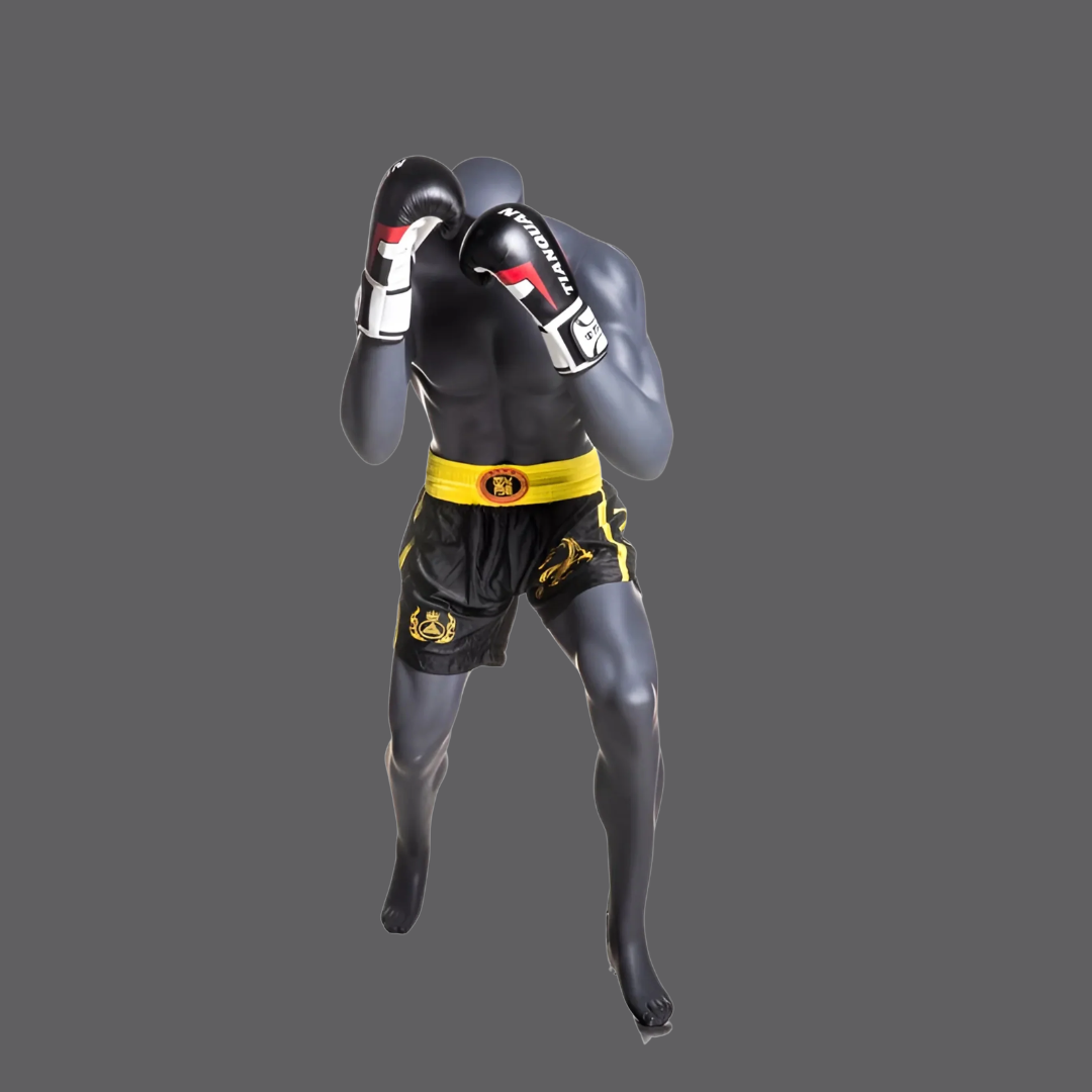 Boxing Mannequins