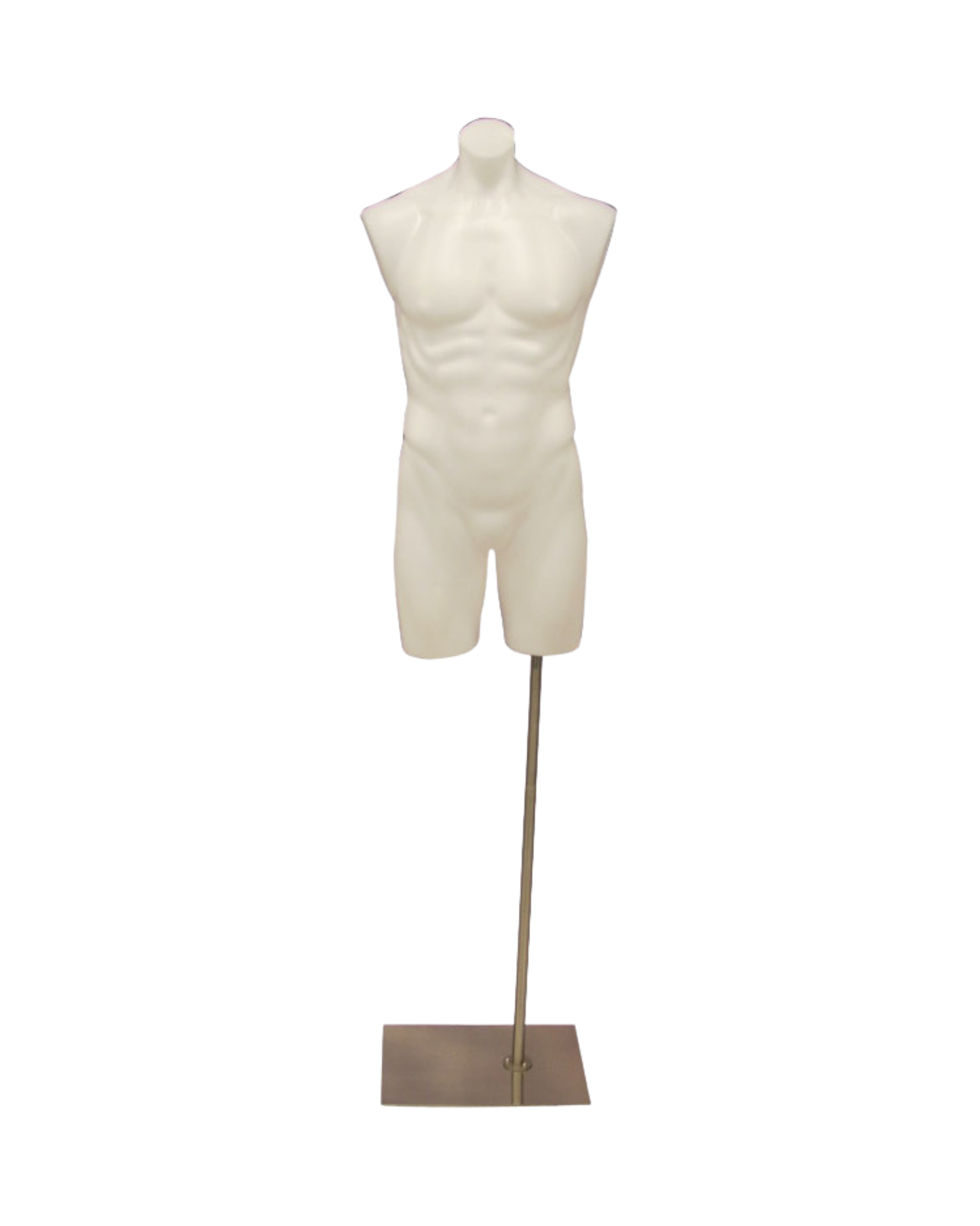 Male Torso Mannequin (TMK-PS-P908W)