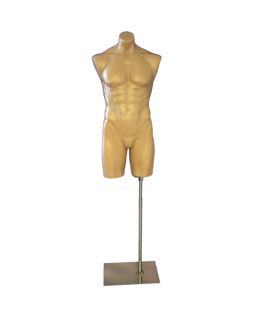 Male Upper Body Mannequin (TMK-PS-P908F)