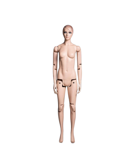 Female Realistic Posable Mannequin with Back Support TMM-FM01