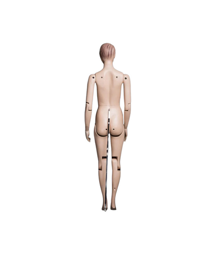 Female Realistic Posable Mannequin with Back Support TMM-FM01