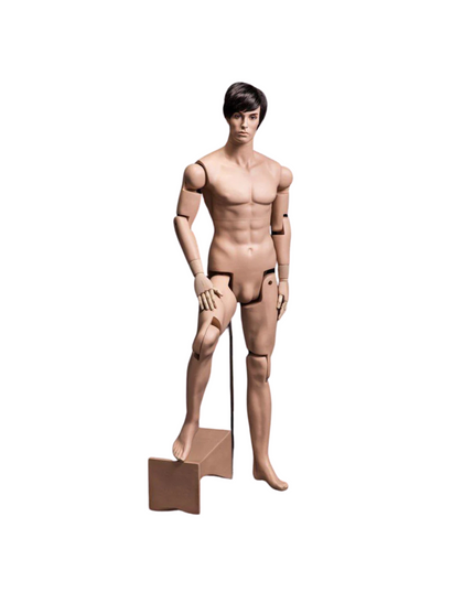 Realistic Posable Mannequin with Back Support - Male (TMK-HM01)