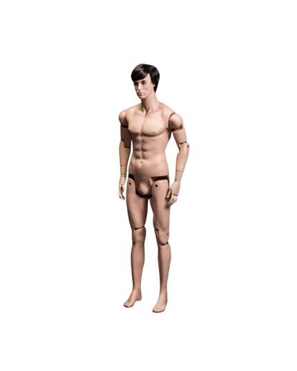 Realistic Posable Mannequin with Back Support - Male (TMK-HM01)