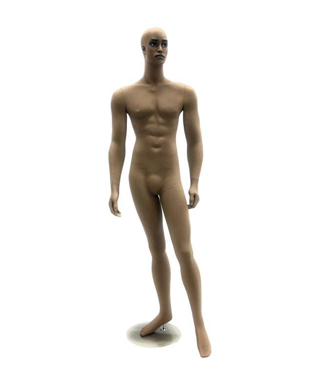 Rich Brown Finish Male Mannequin  (TMK-MD-CCF2)