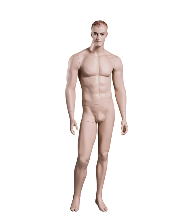 Male Realistic with Molded Hair  Mannequin (TMK-MZ-WEN5)