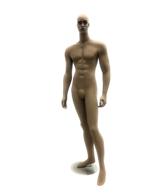 Rich Brown Finish Male Mannequin  (TMK-MD-CCF2)