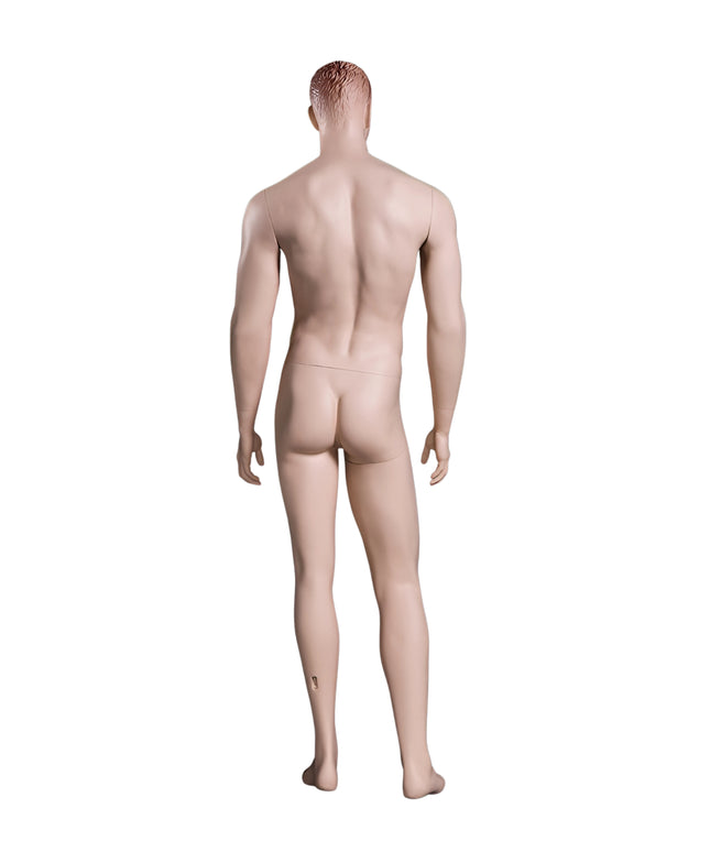 Male Realistic with Molded Hair  Mannequin (TMK-MZ-WEN5)