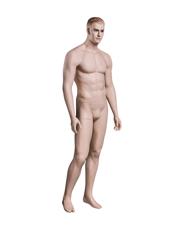 Male Realistic with Molded Hair  Mannequin (TMK-MZ-WEN5)