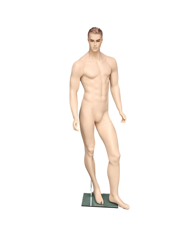 Male Realistic with Molded Hair Mannequin (TMK-MZ-WEN2)