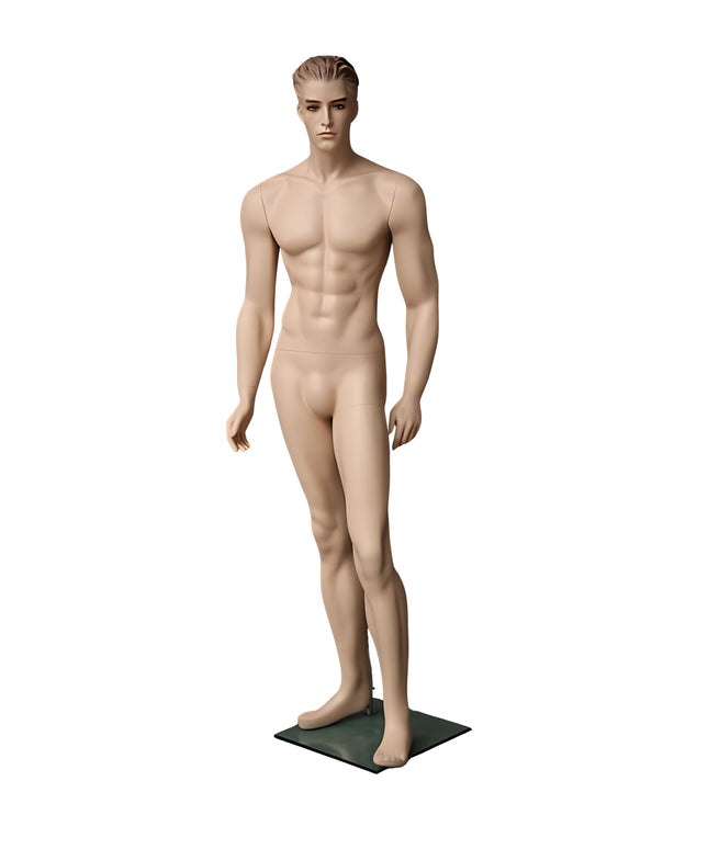 Male Realistic with Molded Hair Mannequin (TMK-MZ-WEN3)