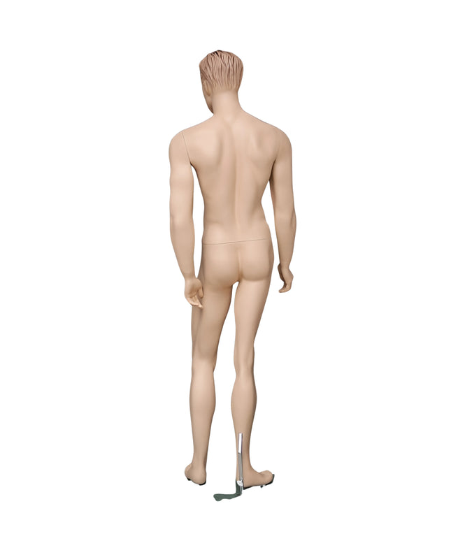 Male Realistic with Molded Hair Mannequin (TMK-MZ-WEN3)