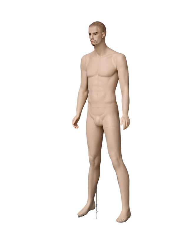 Male Realistic with Molded Hair Mannequin (TMK-MZ-WEN8)