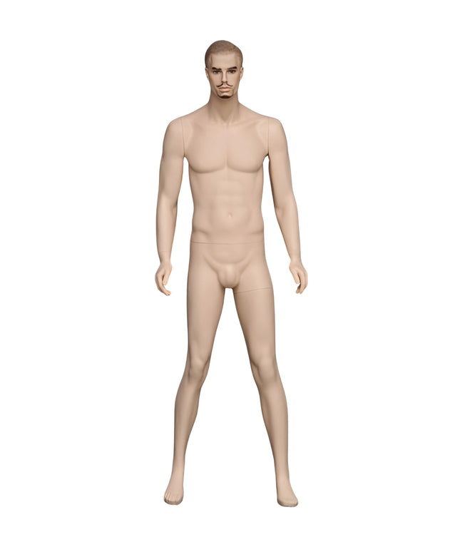 Male Realistic with Molded Hair Mannequin (TMK-MZ-WEN8)