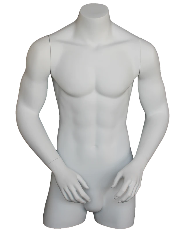 Broad-shoulder headless 3/4 male torso form with arms in matte white, MT7-WT