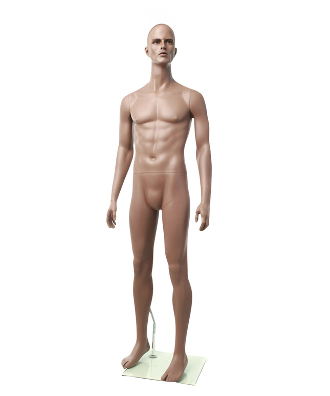 Rich Brown Finish Male Mannequin (TMK-MZ-ZEKE1)