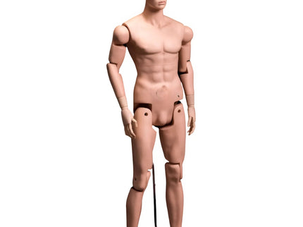 Posable Mannequin  - Male (TMK-MZ-HM01)