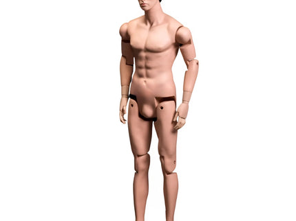 Posable Mannequin  - Male (TMK-MZ-HM01)
