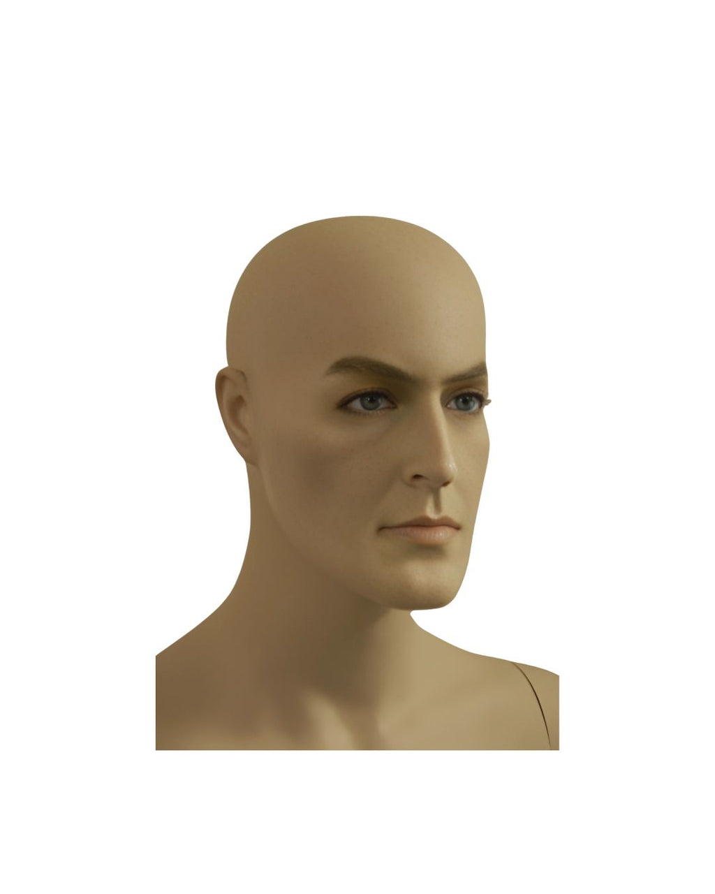 Male Realistic Mannequin with Movable Elbows Short Version (TMK-MD-BC8S)