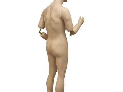 Male Realistic Mannequin with Movable Elbows Short Version (TMK-MD-BC8S)