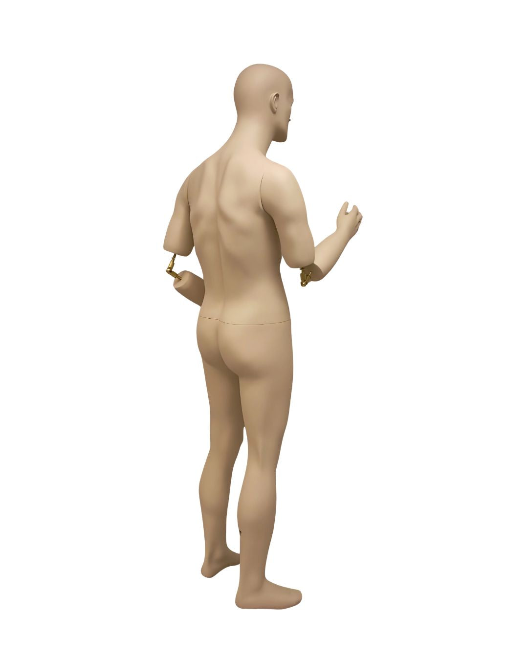 Male Realistic Mannequin with Movable Elbows Short Version (TMK-MD-BC8S)