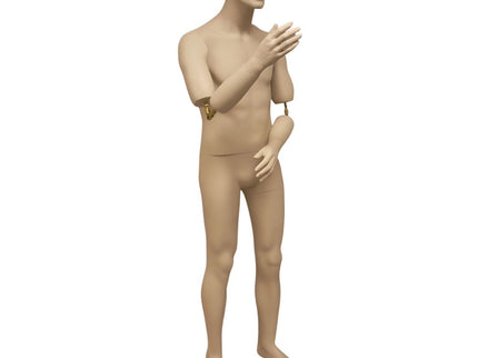 Male Realistic Mannequin with Movable Elbows Short Version (TMK-MD-BC8S)