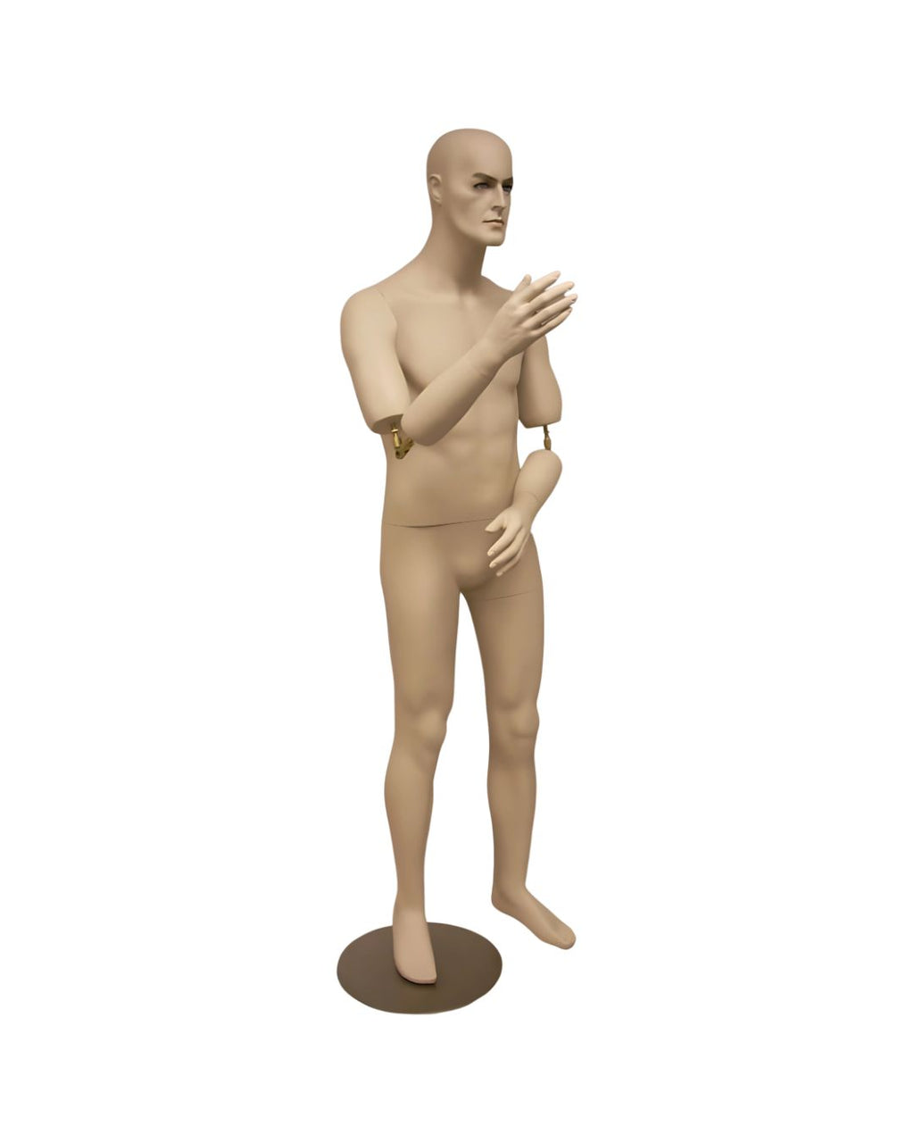 Male Realistic Mannequin with Movable Elbows Short Version (TMK-MD-BC8S)