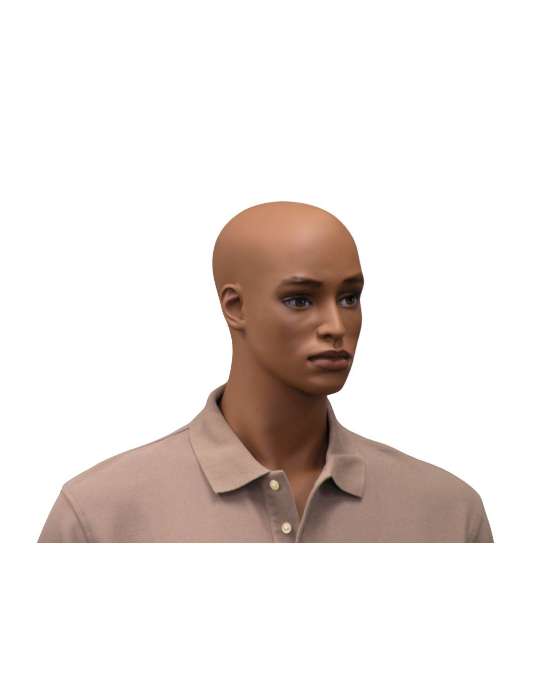 Rich Brown Finish Male Mannequin  (TMK-MD-CCF2)