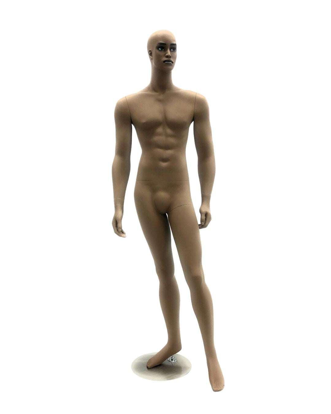 Rich Brown Finish Male Mannequin  (TMK-MD-CCF2)