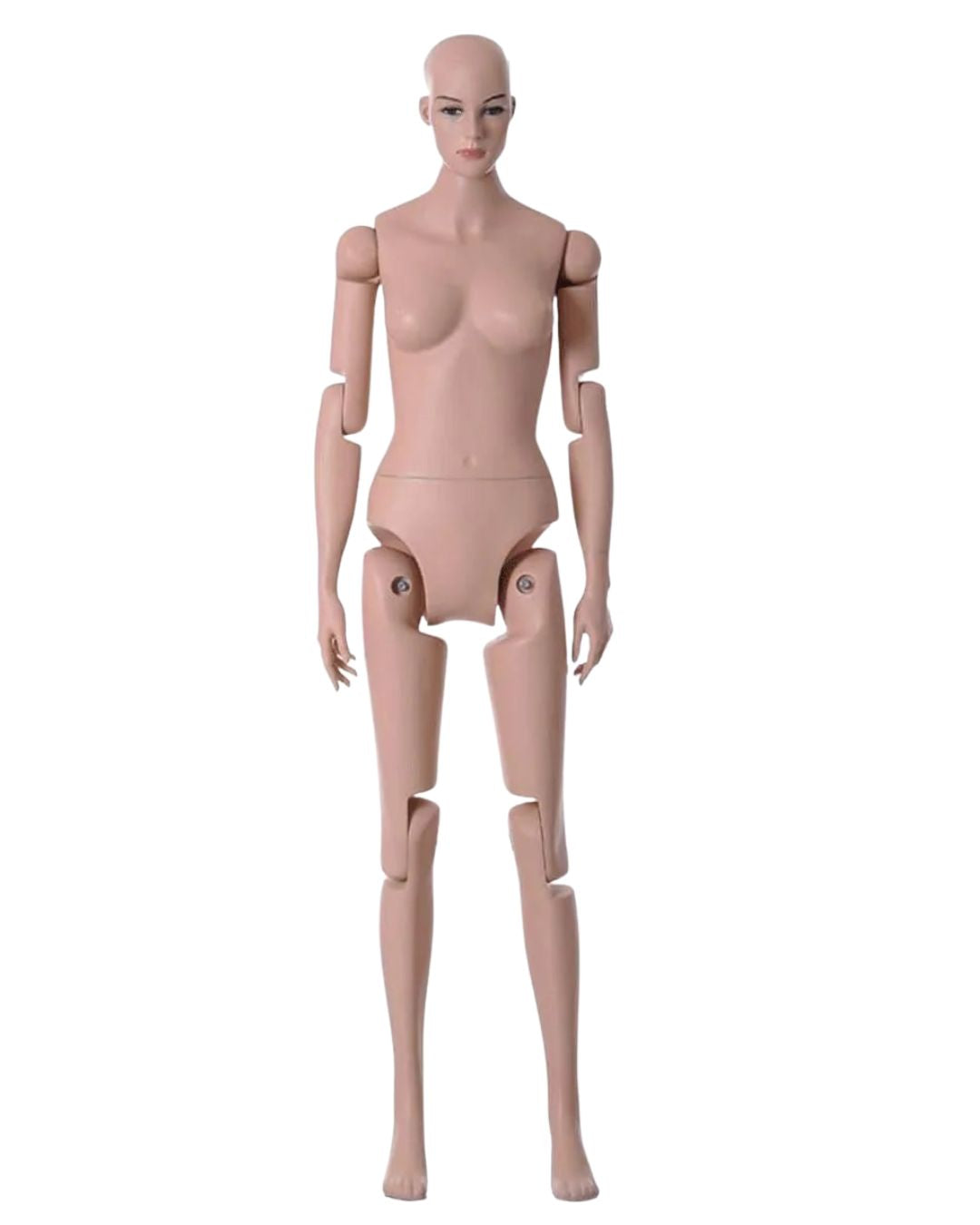 Flexible Female Mannequin with Bendable Joints (TMK-MD-Z-FFXF)
