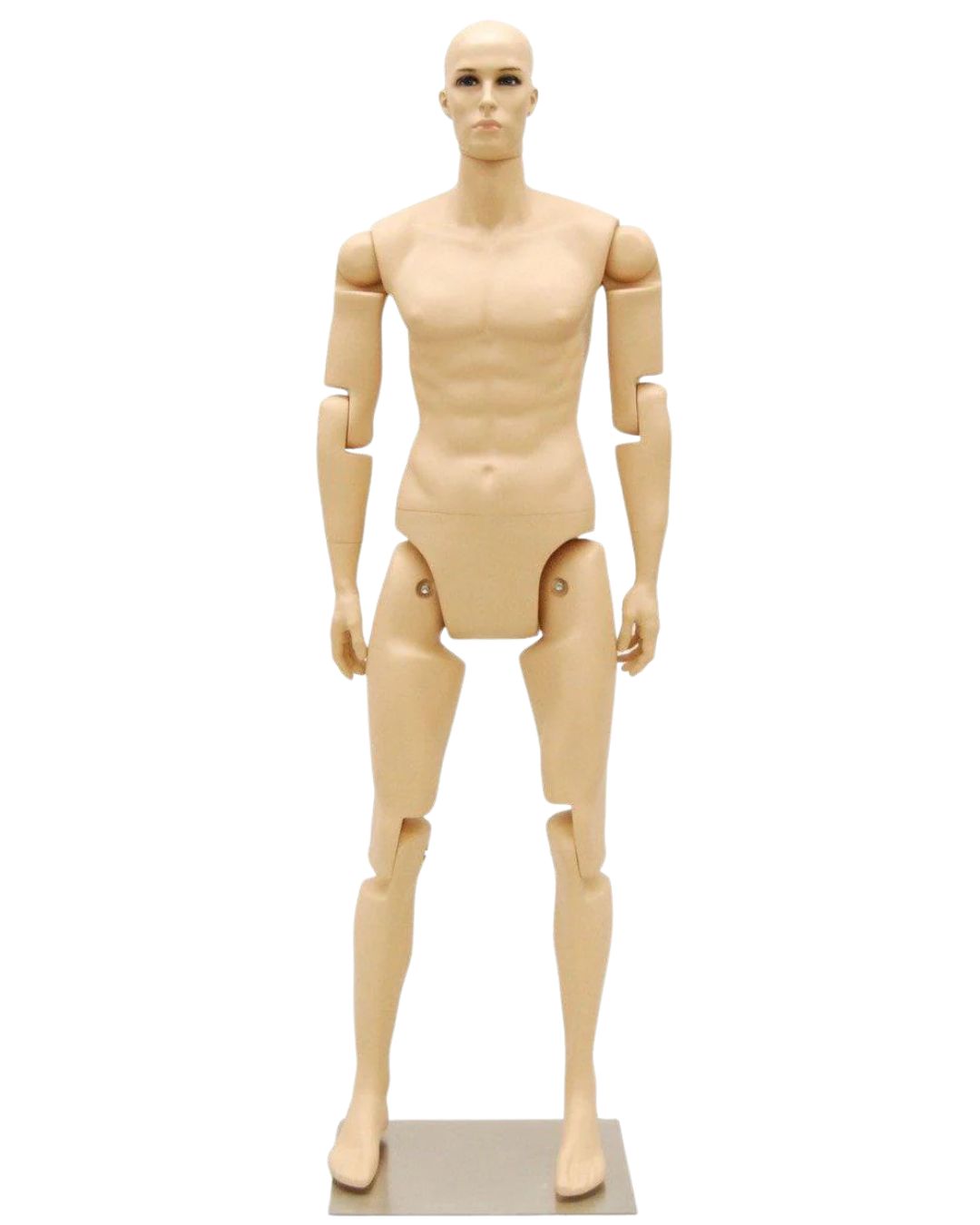 6 ft Posable Mannequin - Male (TMK-MD-Z-MFXF)
