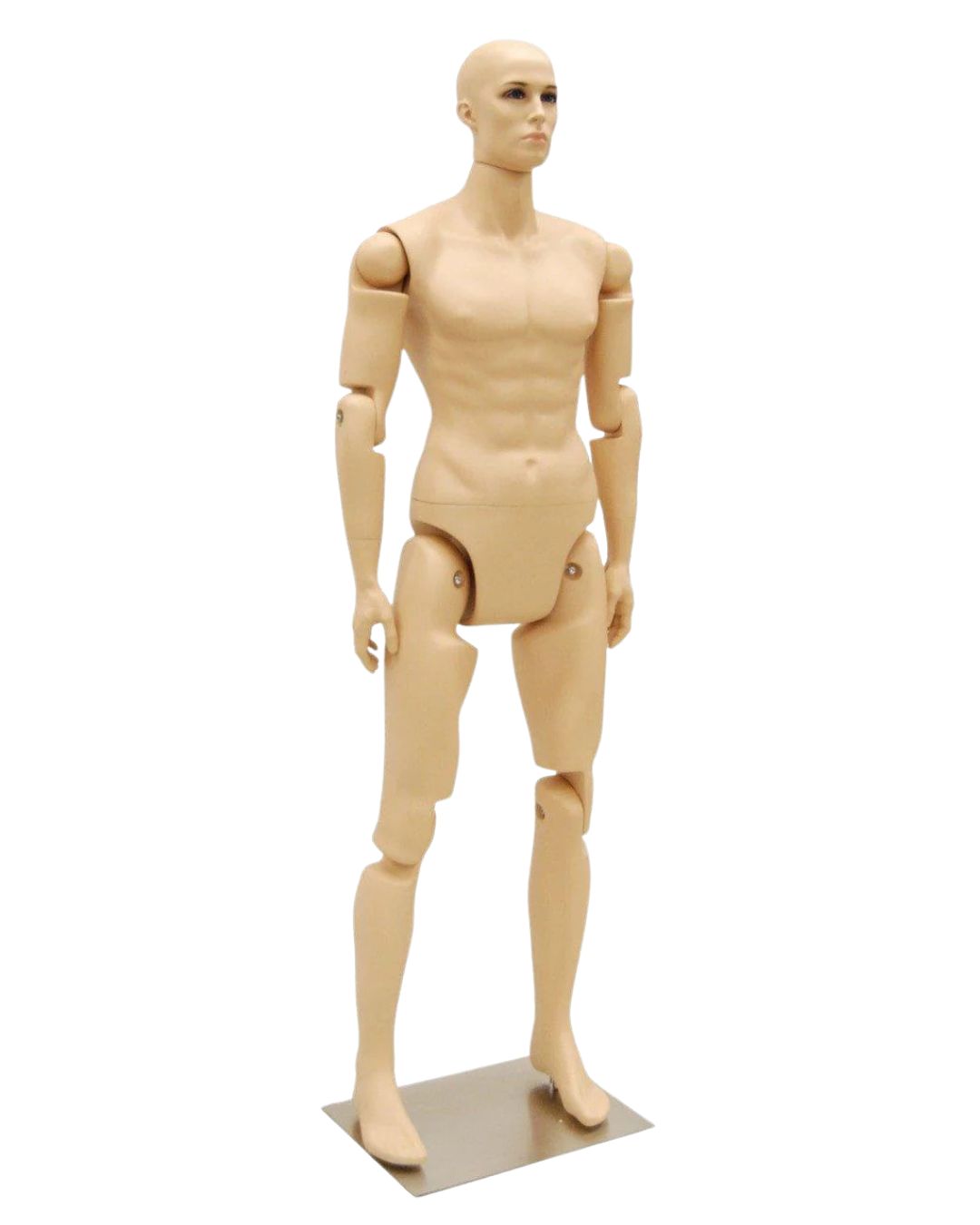 6 ft Posable Mannequin - Male (TMK-MD-Z-MFXF)