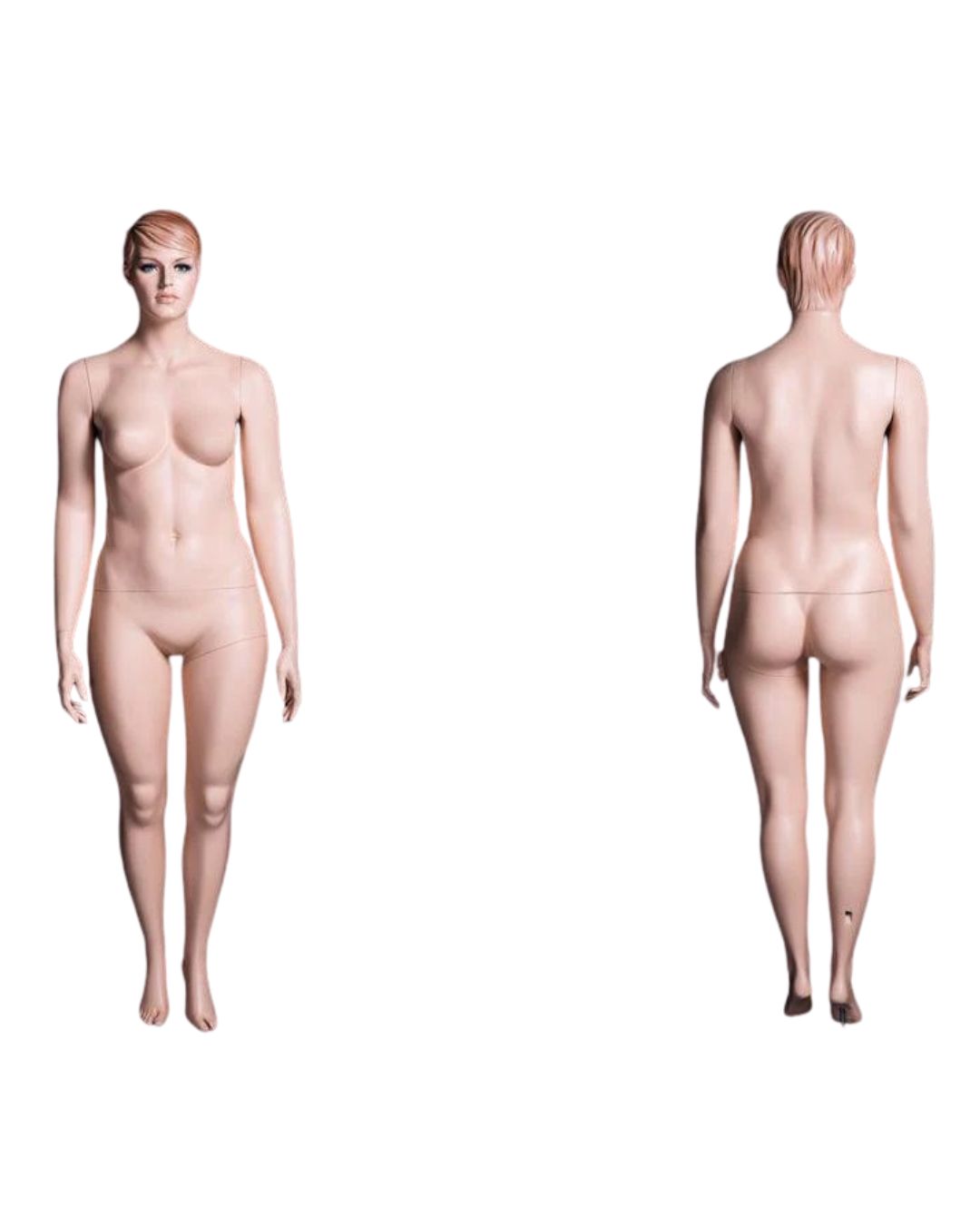 Realistic Plus-Size Female Mannequin (TMK-MZ-AVIS1)
