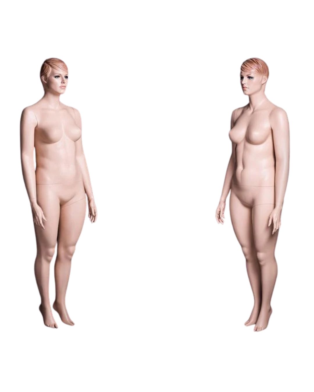 Realistic Plus-Size Female Mannequin (TMK-MZ-AVIS1)
