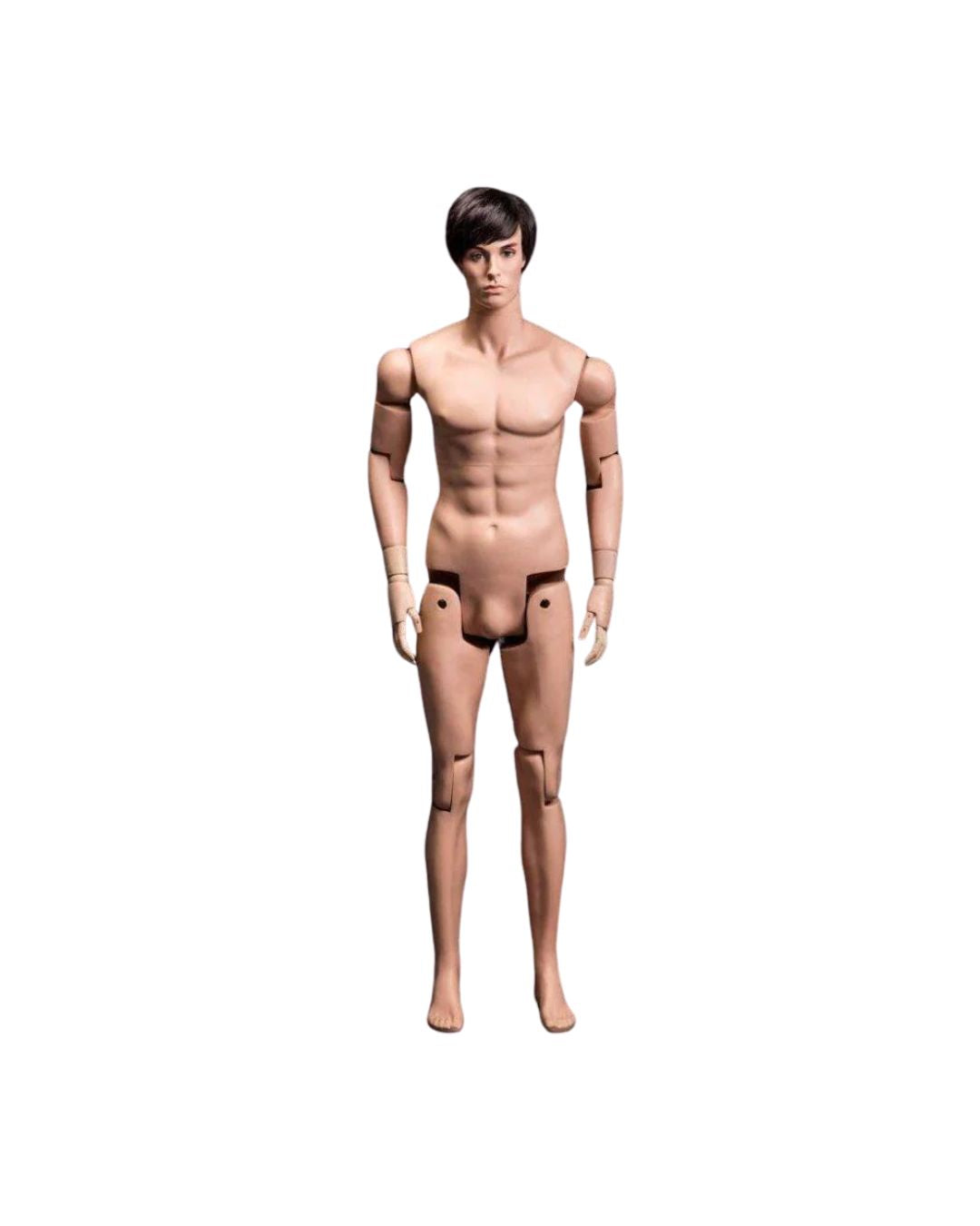Male Lifelike Posable Mannequin (TMK-MZ-HM01)