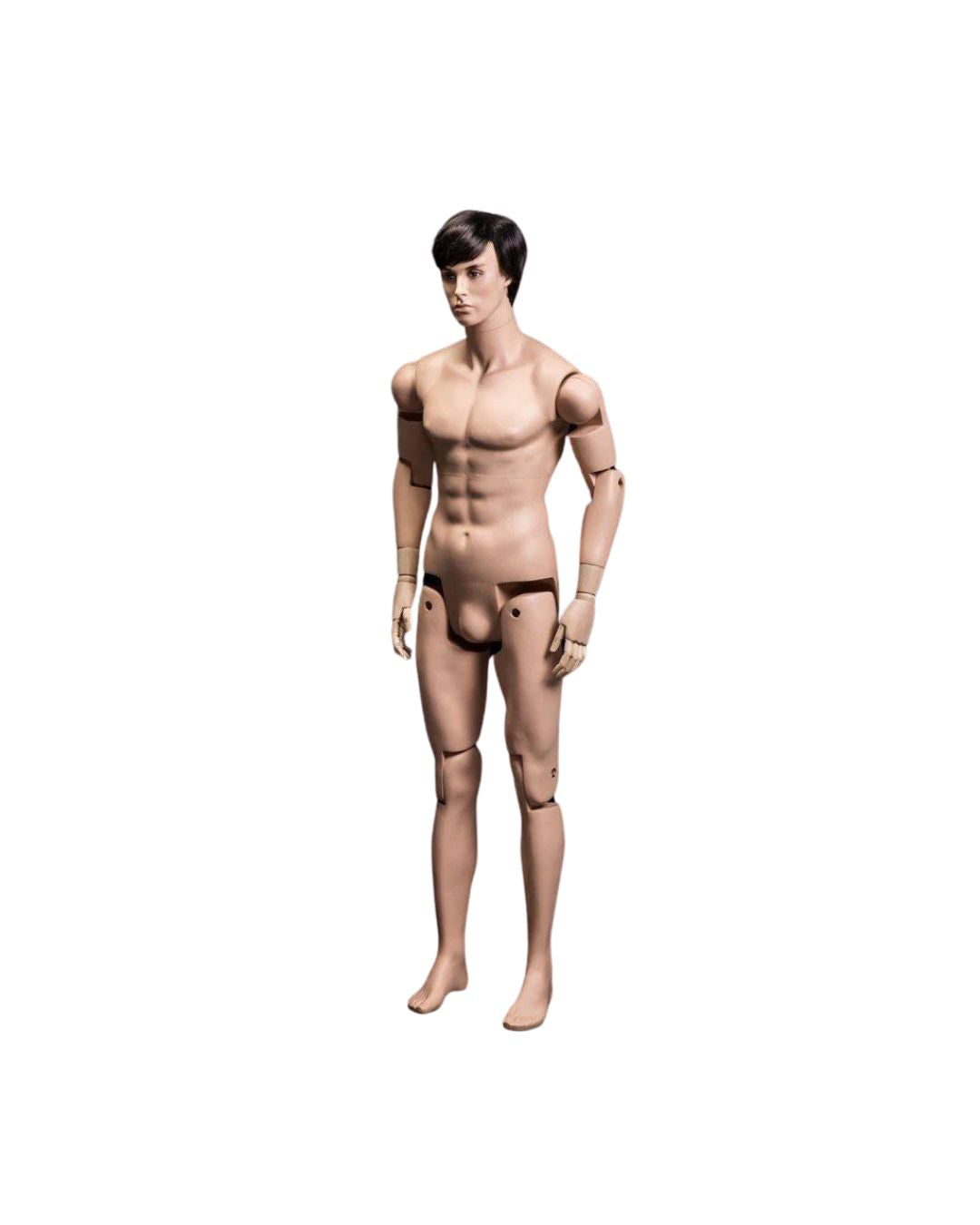 Male Lifelike Posable Mannequin (TMK-MZ-HM01)