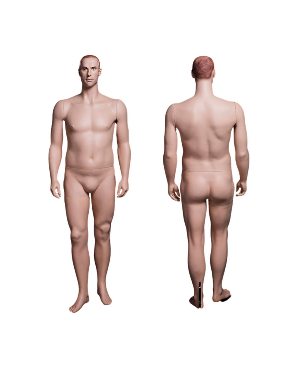 Plus Size Male Mannequin (TMK-MZ-PLUSMAN2)