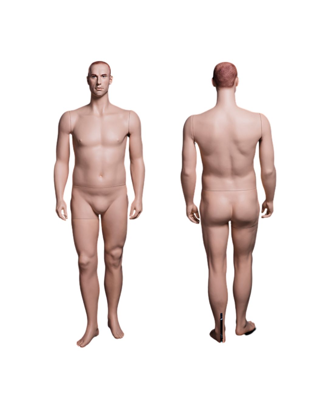 Plus Size Male Mannequin (TMK-MZ-PLUSMAN2)