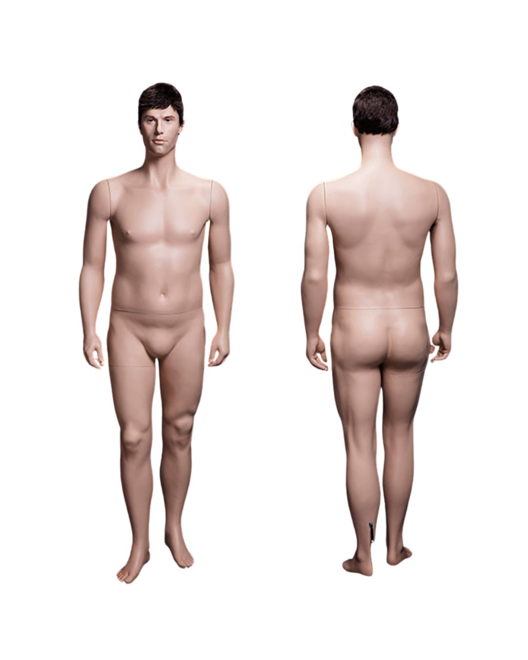 Plus Size Male Mannequin (TMK-MZ-PLUSMAN)