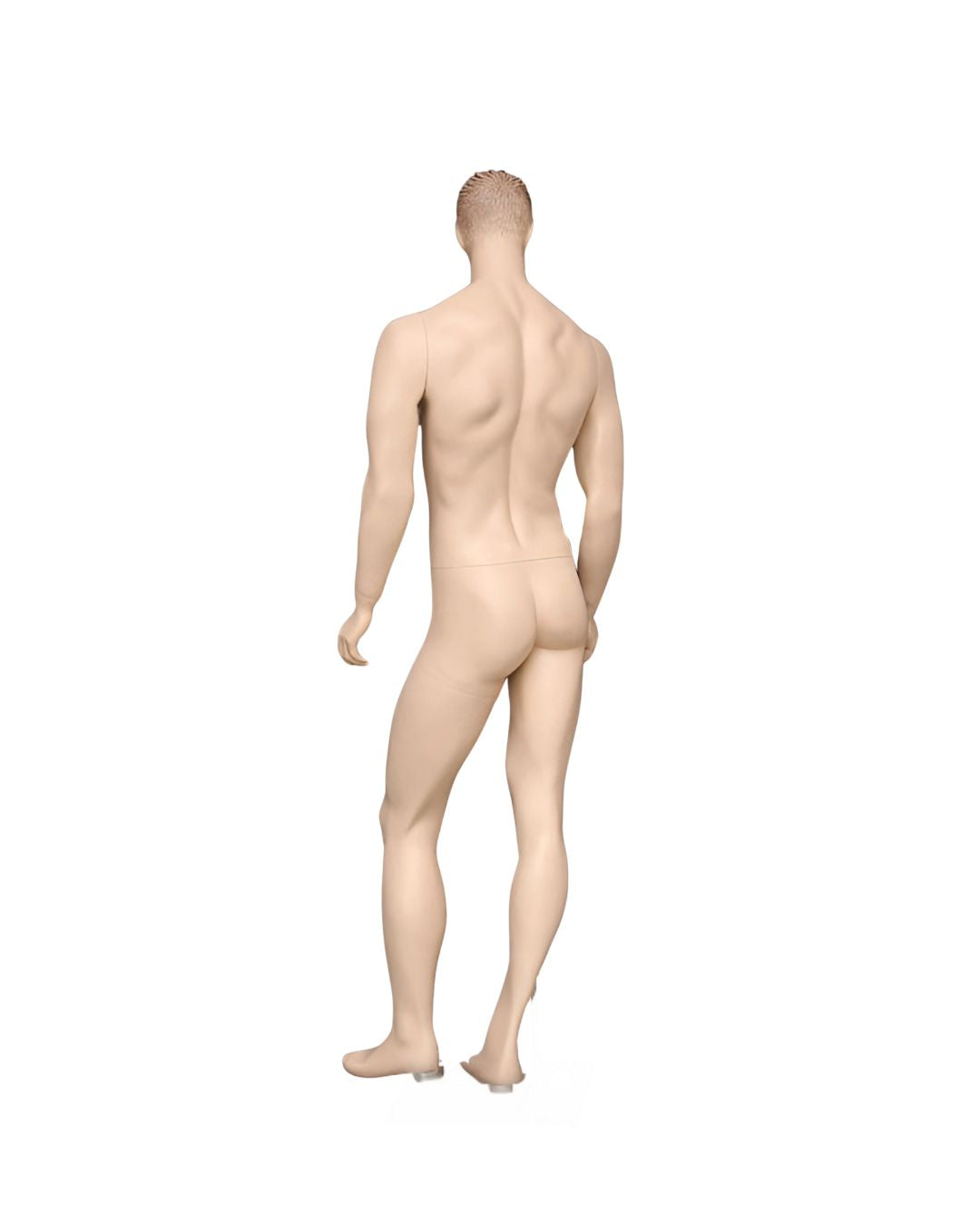 Male Realistic with Molded Hair Mannequin (TMK-MZ-WEN2)
