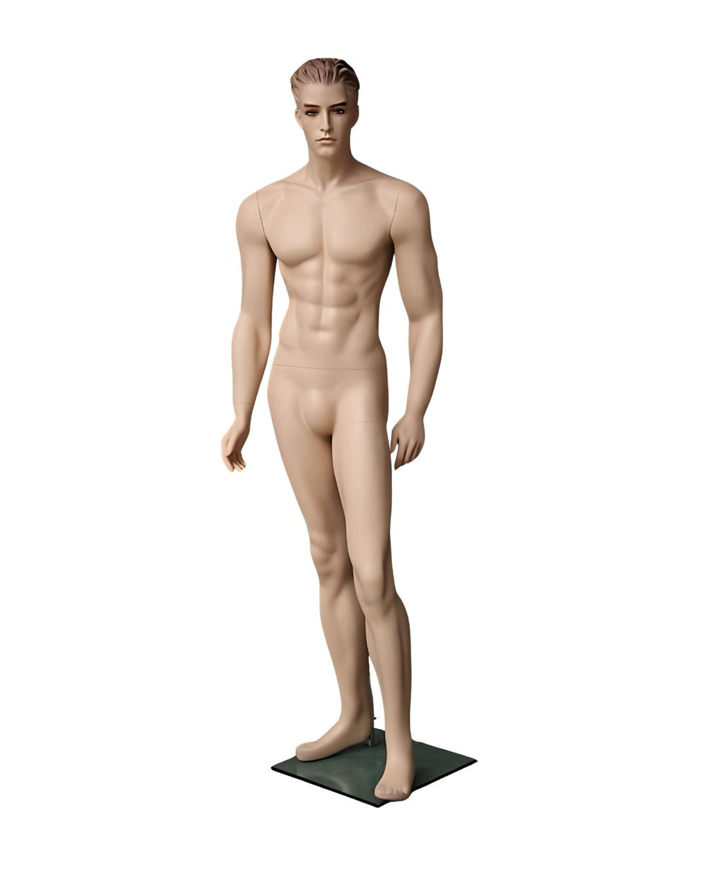 Male Realistic with Molded Hair Mannequin (TMK-MZ-WEN3)