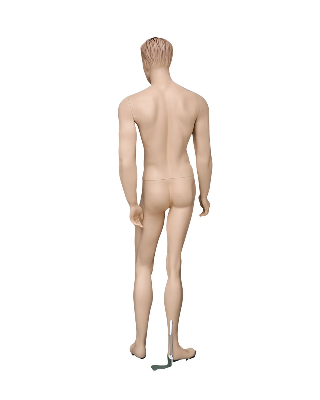Male Realistic with Molded Hair Mannequin (TMK-MZ-WEN3)