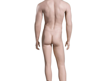 Male Realistic with Molded Hair  Mannequin (TMK-MZ-WEN5)