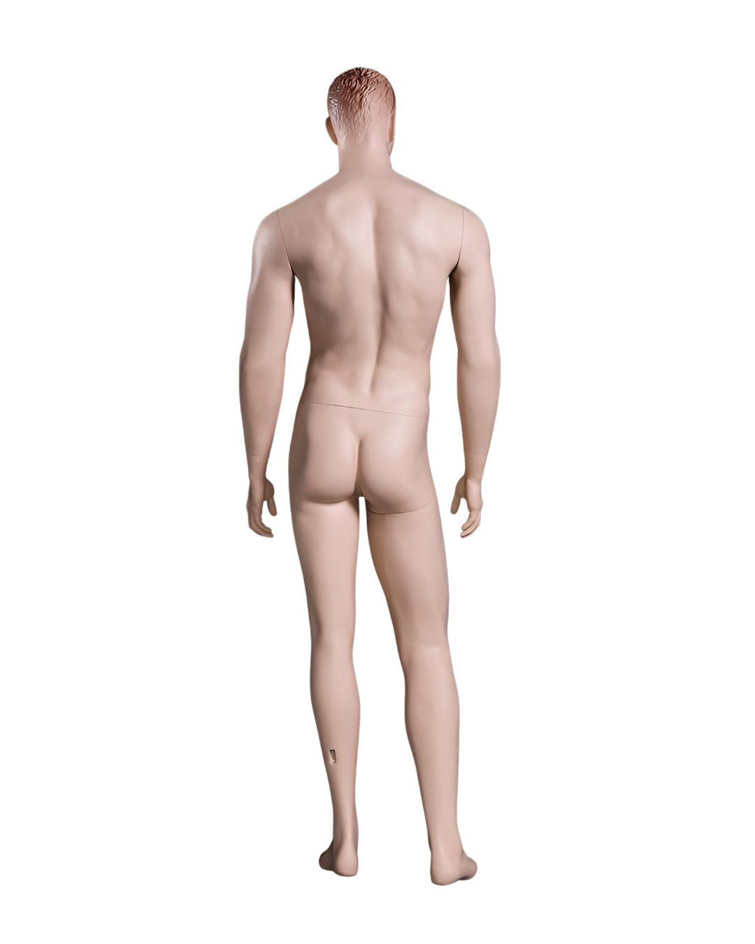Male Realistic with Molded Hair  Mannequin (TMK-MZ-WEN5)