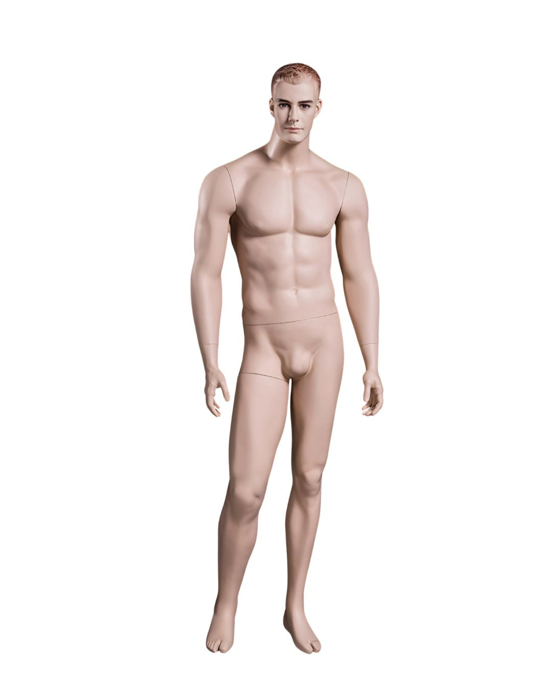 Male Realistic with Molded Hair  Mannequin (TMK-MZ-WEN5)
