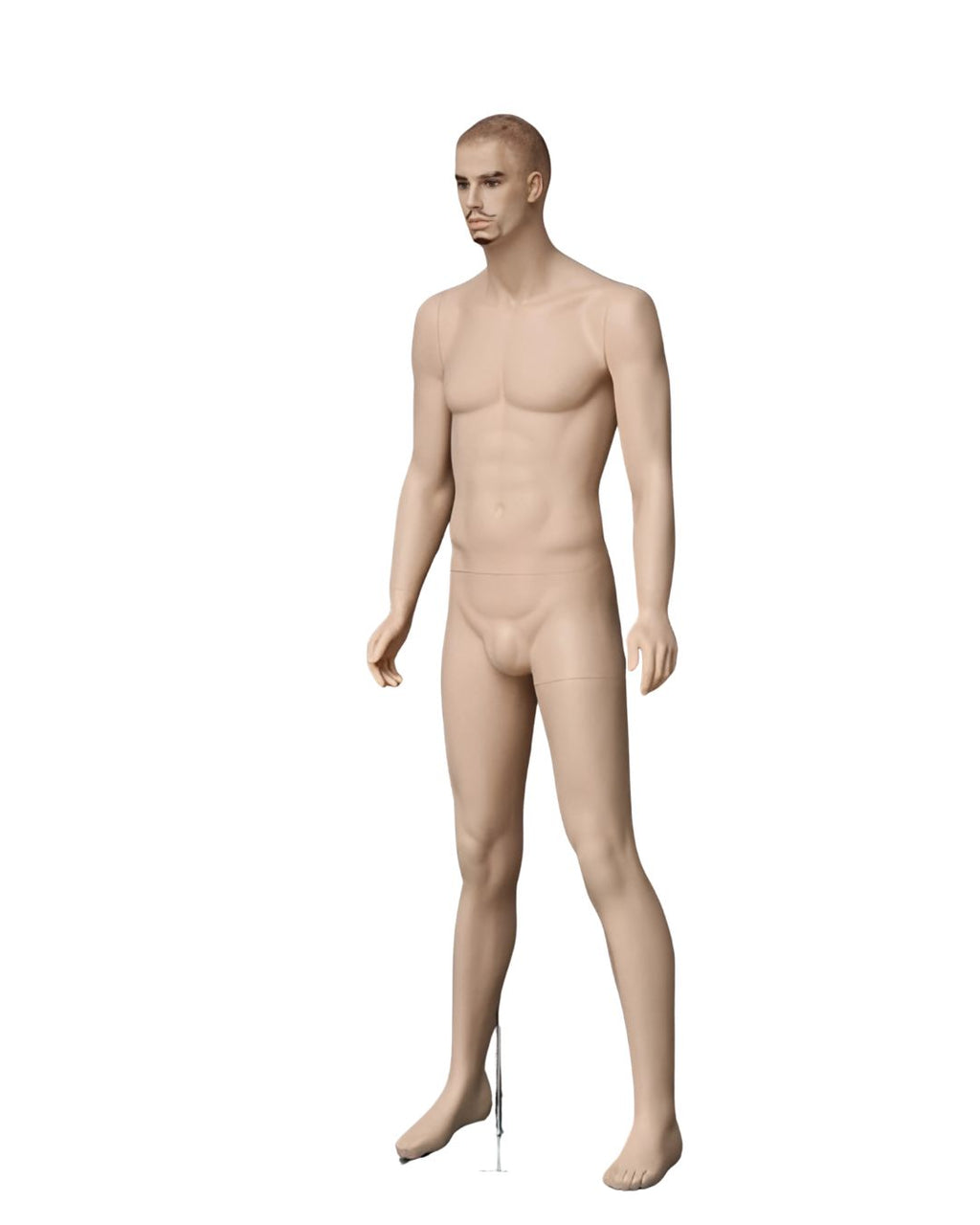 Male Realistic with Molded Hair Mannequin (TMK-MZ-WEN8)