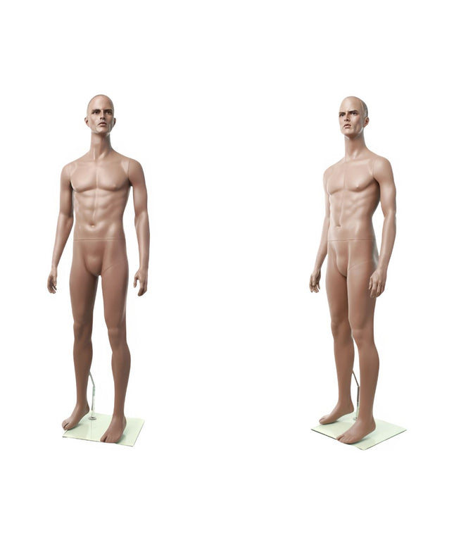 Rich Brown Finish Male Mannequin (TMK-MZ-ZEKE1)