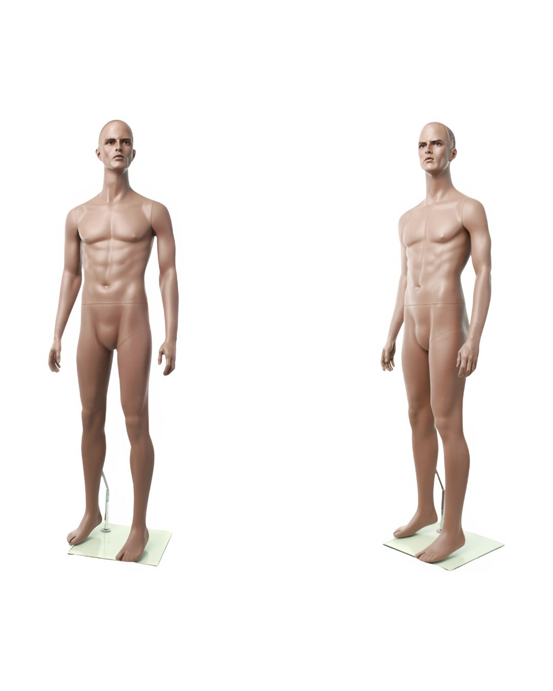 Rich Brown Finish Male Mannequin (TMK-MZ-ZEKE1)