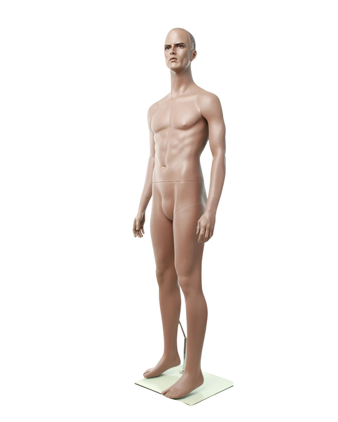 Rich Brown Finish Male Mannequin (TMK-MZ-ZEKE1)