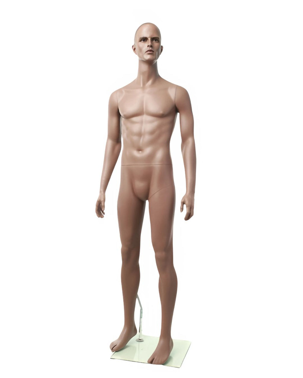 Rich Brown Finish Male Mannequin (TMK-MZ-ZEKE1)